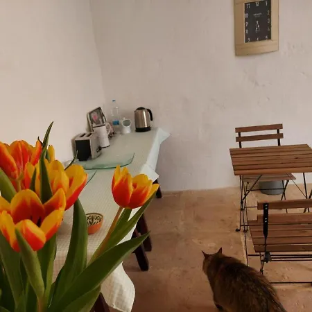 Indy In Wonderland Coliving
